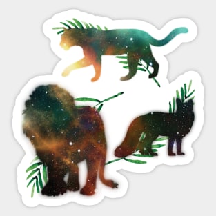 Graphic photo design with form of lion, fox and cheetah. Sticker